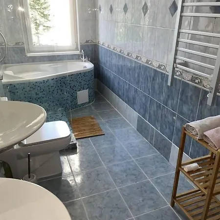 Large 3 Bedroom With Billiard And View * カルロヴィ・ヴァリ