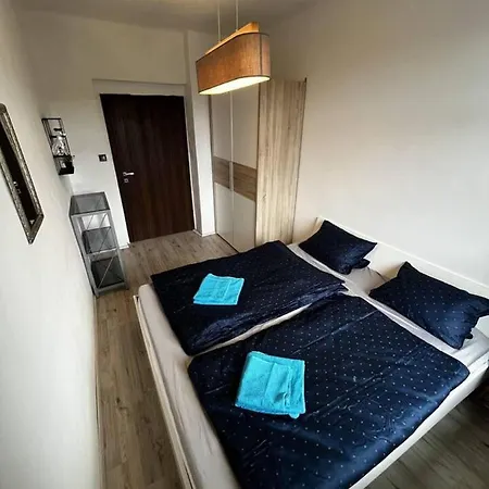 Large 3 Bedroom With Billiard And View * カルロヴィ・ヴァリ