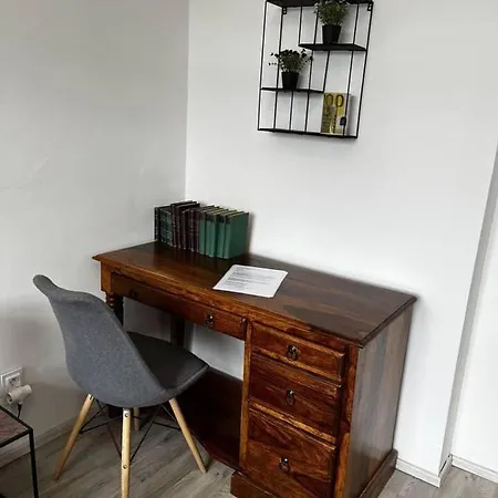 Large 3 Bedroom With Billiard And View カルロヴィ・ヴァリ