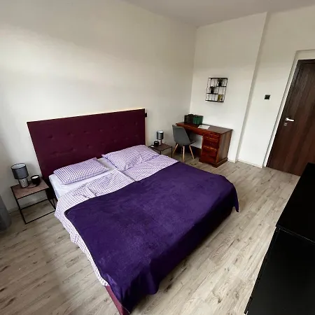 Large 3 Bedroom With Billiard And View * カルロヴィ・ヴァリ